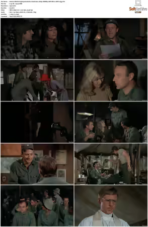 M.A.S.H. S01-S11 1080p WEBRip 10Bit DD2.0 HEVC-d3g