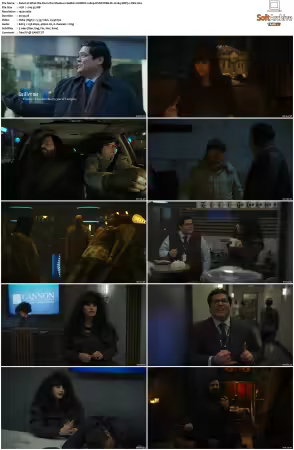 What We Do in the Shadows S06 NORDiC 1080p DSNP WEB-DL H264 DDP5.1-DKV