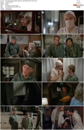 M.A.S.H. S01-S11 1080p WEBRip 10Bit DD2.0 HEVC-d3g