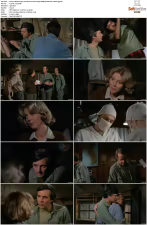 M.A.S.H. S01-S11 1080p WEBRip 10Bit DD2.0 HEVC-d3g