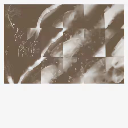 Peter Knight - For a Moment the Sky Knew My Name (2025)