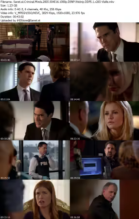 Criminal Minds 2005 S04E16 1080p DSNP Webrip DDP5 1 x265-Vialle