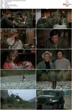 MASH S01 S11 1080p WEBRip 10Bit DD2.0 HEVC-d3g