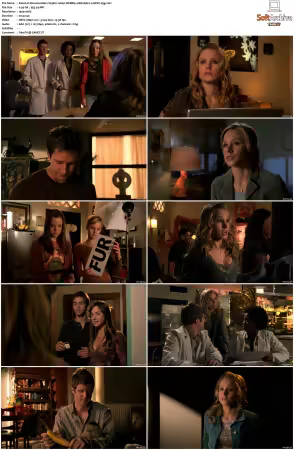 Veronica Mars S03 1080p WEBRip 10Bit AAC2.0 HEVC-d3g