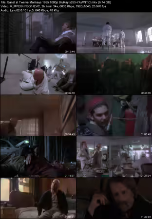 Twelve Monkeys 1995 1080p BluRay x265-YAWNTiC
