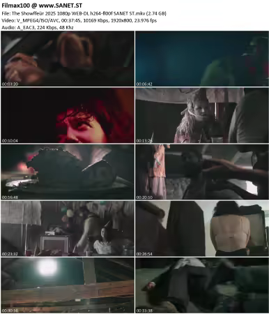 The Showffeür 2025 1080p WEB-DL h264-fl00f
