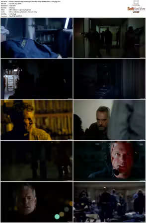 The Last Ship S02 1080p WEBRip DDP5.1 H265-d3g