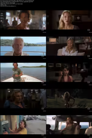 Fools Gold 2008 1080p AUBC WEB-DL AAC 2.0 H264-PiRaTeS