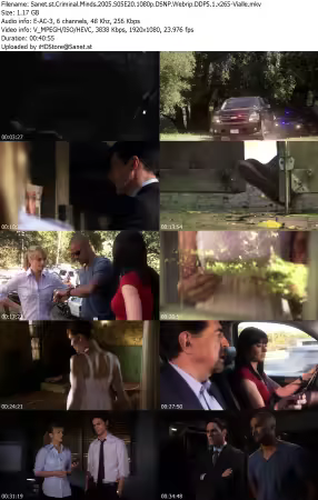 Criminal Minds 2005 S05E20 1080p DSNP Webrip DDP5 1 x265-Vialle
