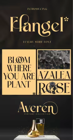 EE - Flangel - Fashion Brand Fonts FZ3P789