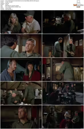 M.A.S.H S10 1080p WEBRip 10Bit DD2 0 HEVC-d3g