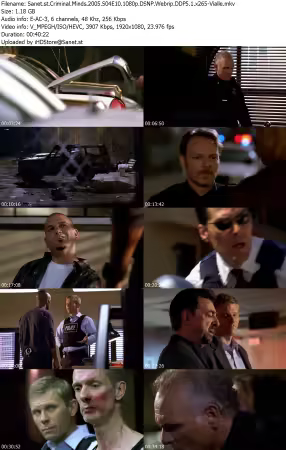 Criminal Minds 2005 S04E10 1080p DSNP Webrip DDP5 1 x265-Vialle