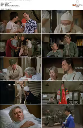 M.A.S.H S05 1080p WEBRip 10Bit DD2.0 HEVC-d3g