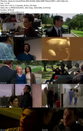 Criminal Minds 2005 S01E06 1080p DSNP Webrip DDP5 1 x265-Vialle