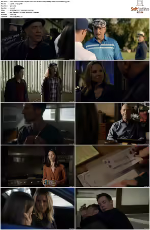 Veronica Mars S04 1080p WEBRip 10Bit AAC2.0 HEVC-d3g