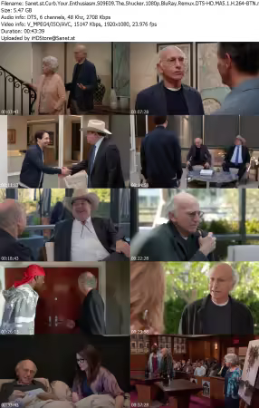 Curb Your Enthusiasm S09E09 The Shucker 1080p BluRay Remux DTS-HD MA5 1 H 264-BTN