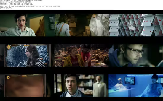 Labyrinthus 2014 MULTi 1080p WEB x264-HEADER