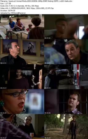 Criminal Minds 2005 S02E06 1080p DSNP Webrip DDP5 1 x265-Vialle