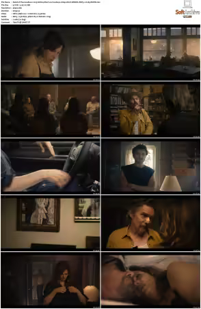 The Lowdown 2025 S01 2160p HULU WEB-DL DDP5.1 H265-RAWR