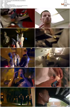 Dope 2017 S01 1080p NF WEB-DL DDP5.1 H264-SPWEB