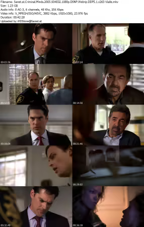 Criminal Minds 2005 S04E02 1080p DSNP Webrip DDP5 1 x265-Vialle