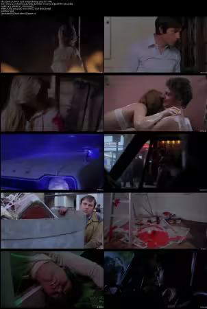 Terror 1978 1080p BluRay x264-OFT