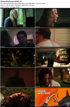 Attempted Murder 2025 2160p WEB-DL VP9-fl00f