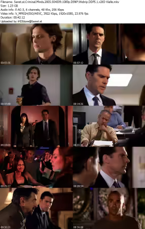 Criminal Minds 2005 S04E09 1080p DSNP Webrip DDP5 1 x265-Vialle