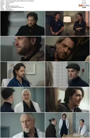 STAT 2022 S01 1080p WEB-DL AAC2.0 H264-KiNGS