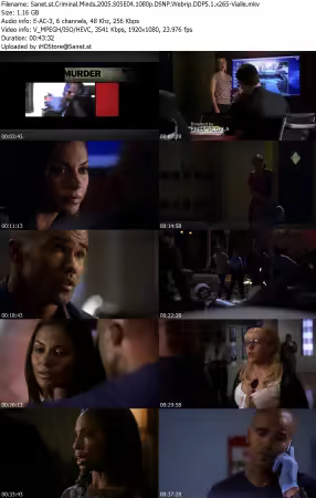 Criminal Minds 2005 S05E04 1080p DSNP Webrip DDP5 1 x265-Vialle