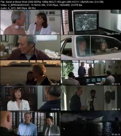 Blood Work 2002 BDRip 1080p MULTi HDLight x264 AC3 5.1-BzH29