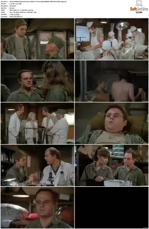 M.A.S.H S07 1080p WEBRip 10Bit DD2.0 HEVC-d3g