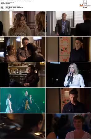 Nashville S04 1080p WEBRip 10Bit DDP5.1 HEVC-d3g