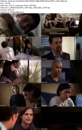 Criminal Minds 2005 S04E20 1080p DSNP Webrip DDP5 1 x265-Vialle