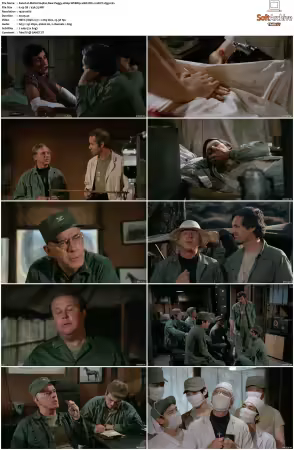 M.A.S.H S04 1080p WEBRip 10Bit DD2.0 HEVC-d3g