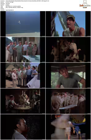 Baa Baa Black Sheep S01 1080p BluRay 10Bit DDP2.0 HEVC-d3g