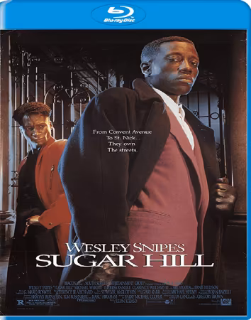 Sugar Hill 1994 1080p BluRay x264-OFT