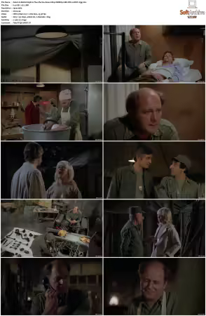 M.A.S.H. S01-S11 1080p WEBRip 10Bit DD2.0 HEVC-d3g