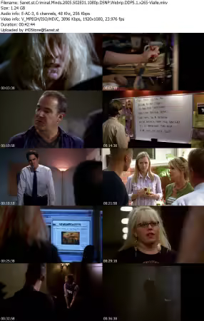 Criminal Minds 2005 S02E01 1080p DSNP Webrip DDP5 1 x265-Vialle