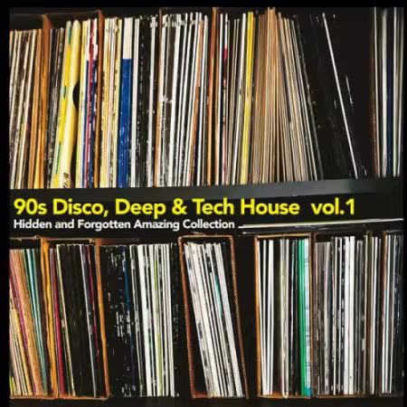 VA - 90s Disco, Deep &amp; Tech House Vol.1 (Hidden and Forgotten Amazing Collection) (2025)