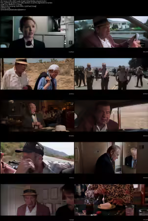 The Odd Couple II 1998 1080p BluRay x264-nikt0