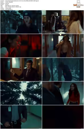 Wynonna Earp S03 1080p WEBRip 10Bit DDP2.0 HEVC-d3g