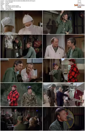 M.A.S.H. S01-S11 1080p WEBRip 10Bit DD2.0 HEVC-d3g