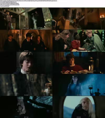Harry Potter and the Chamber of Secrets 2002 1080p Bluray DS4K OPUS 7.1 AV1-WhiskeyJack