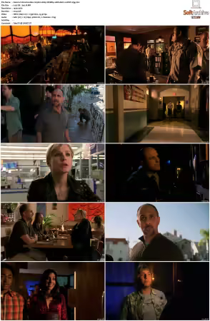 Veronica Mars S03 1080p WEBRip 10Bit AAC2.0 HEVC-d3g