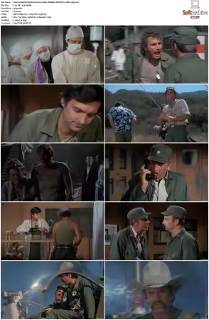 MASH S01 S11 1080p WEBRip 10Bit DD2.0 HEVC-d3g