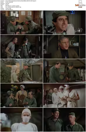 M.A.S.H S10 1080p WEBRip 10Bit DD2 0 HEVC-d3g