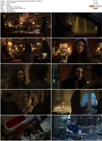 Cenas de um CrimeScenes of a Crime S01 1080p AMZN WEB-DL DDP5 1 H 264-BiOMA