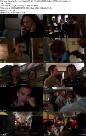 Criminal Minds 2005 S01E09 1080p DSNP Webrip DDP5 1 x265-Vialle