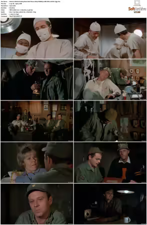 MASH S01 S11 1080p WEBRip 10Bit DD2.0 HEVC-d3g